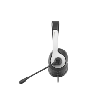 A4Tech FH100U Panda