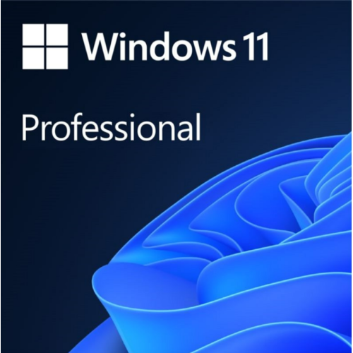Windows 11 Professional
